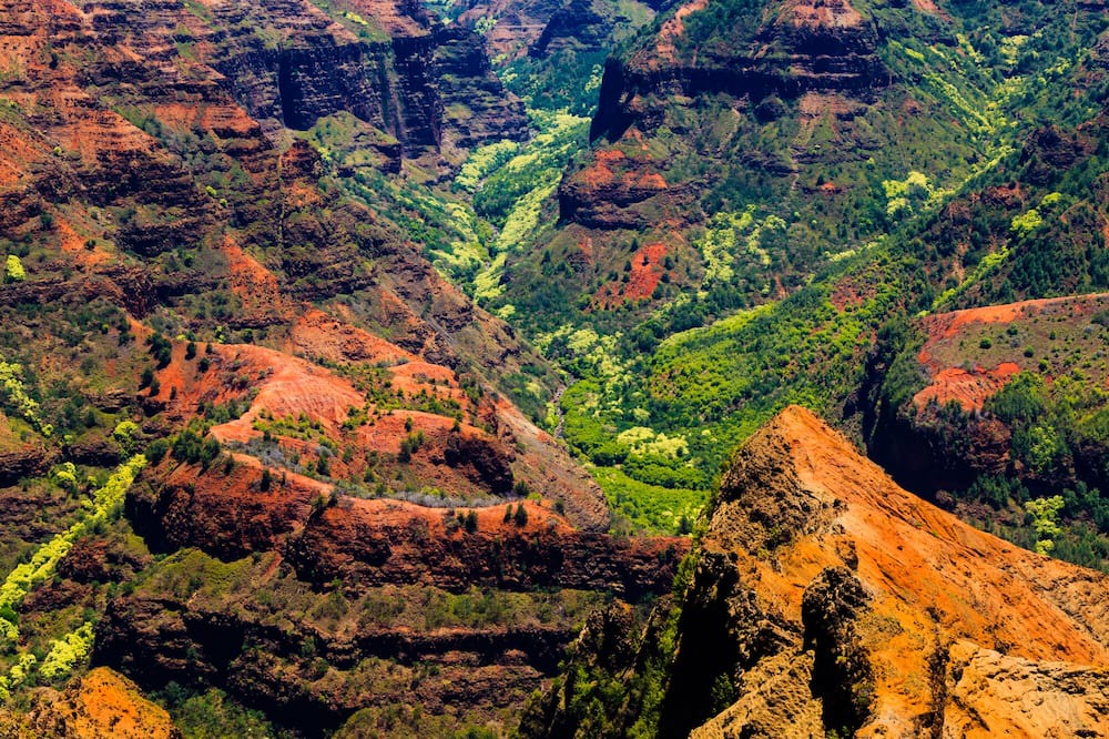 Photo of Others in Poipu