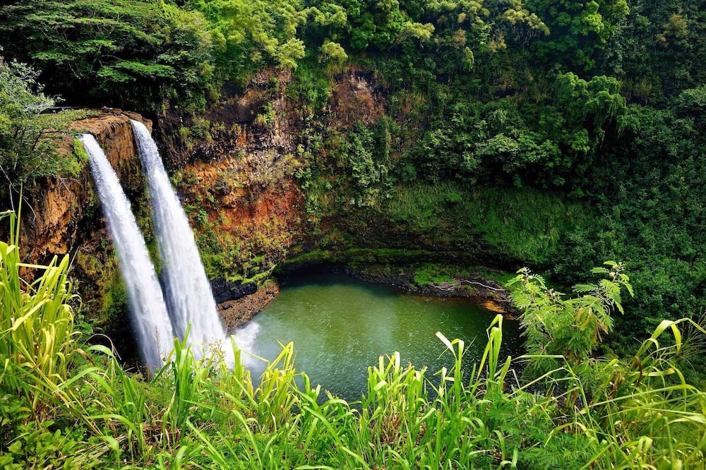 Photo of Others in Poipu
