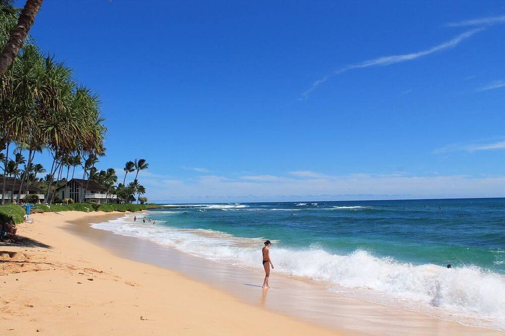Photo of Others in Poipu