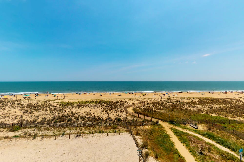 Photo of Others in North Ocean City
