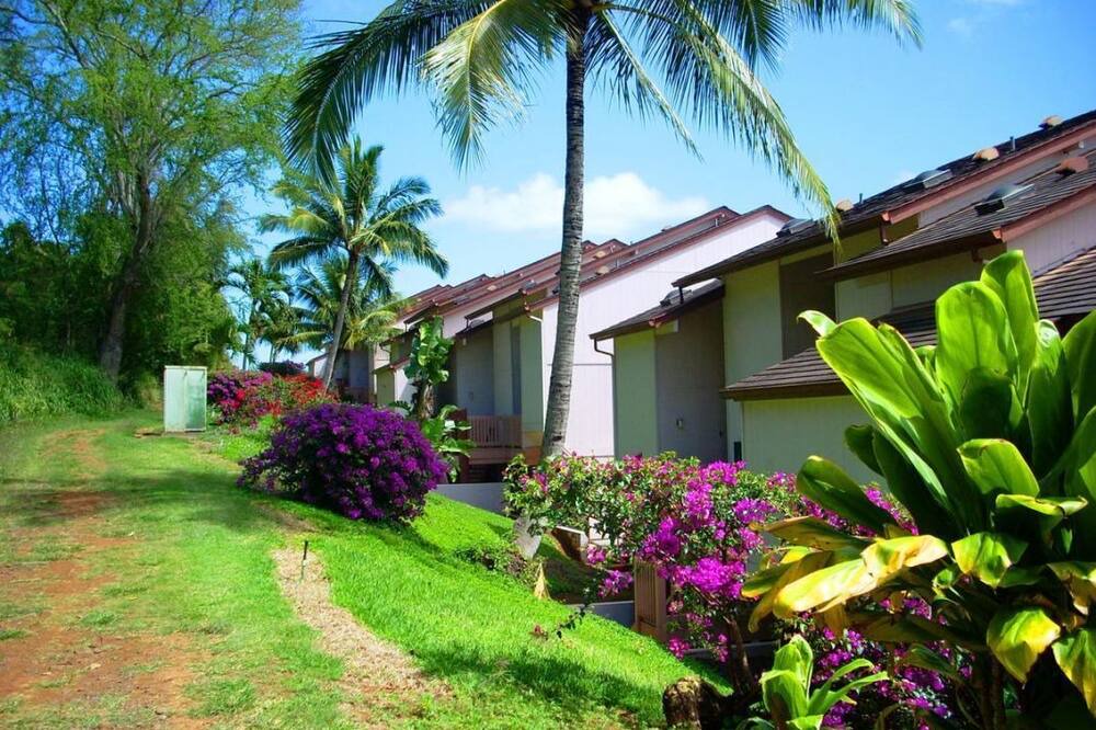 Photo of Outdoor in Nawiliwili