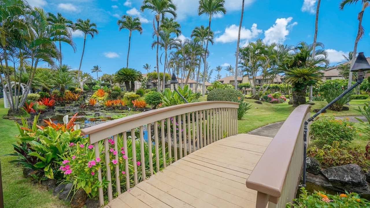 Photo of Outdoor in Kapaa