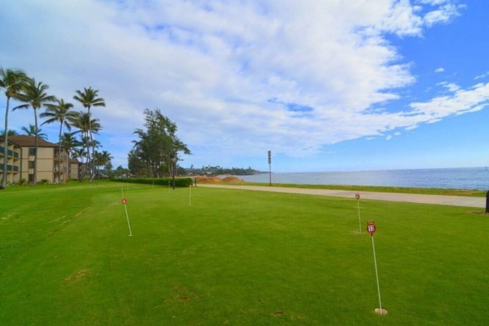 Photo of Others in Kapaa