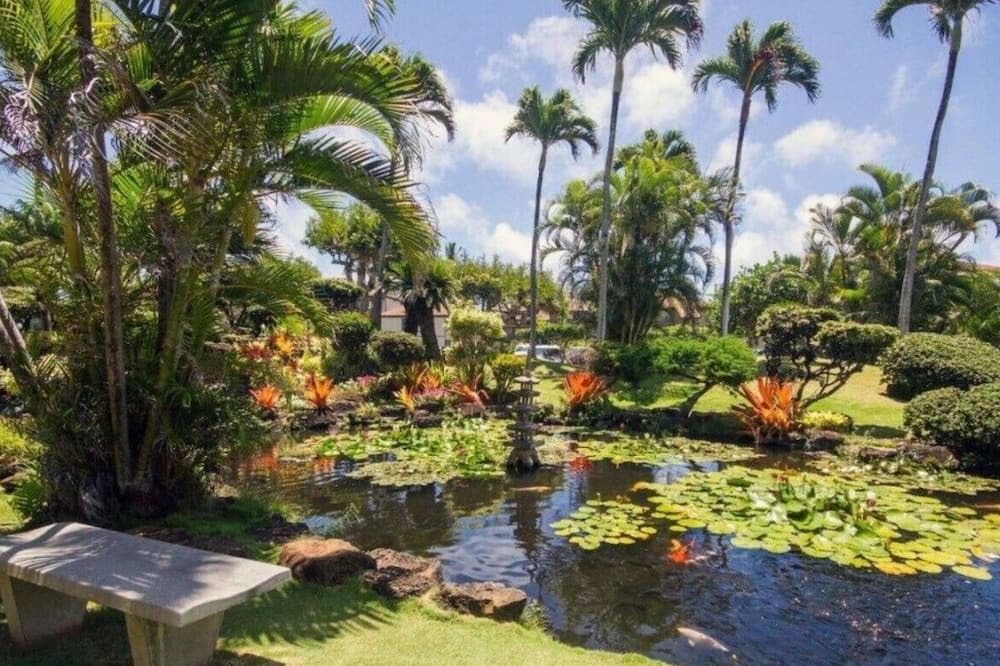 Photo of Outdoor in Kapaa