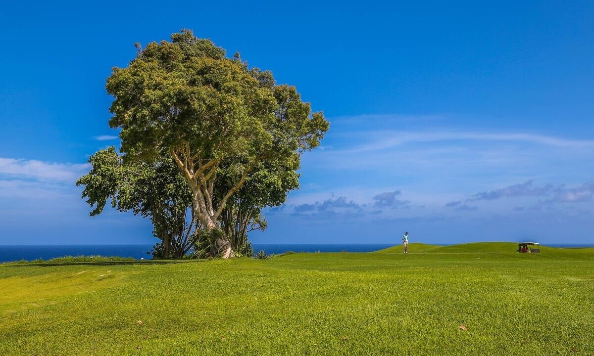 Photo of Others in Princeville