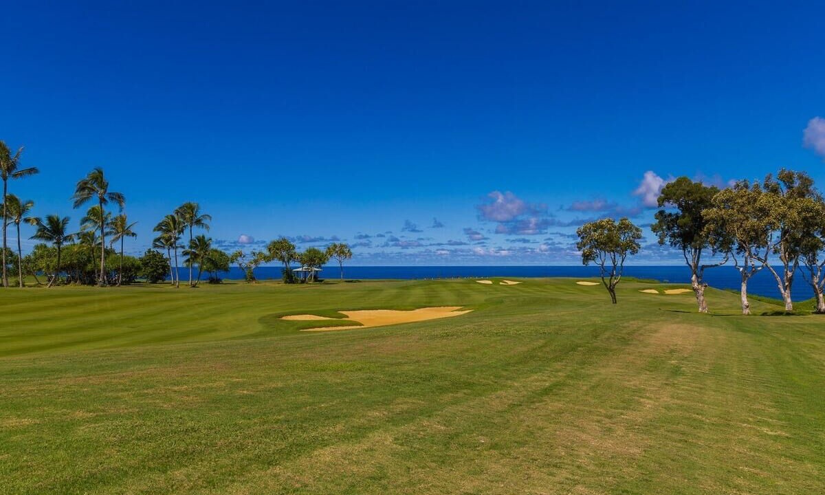 Photo of Others in Princeville