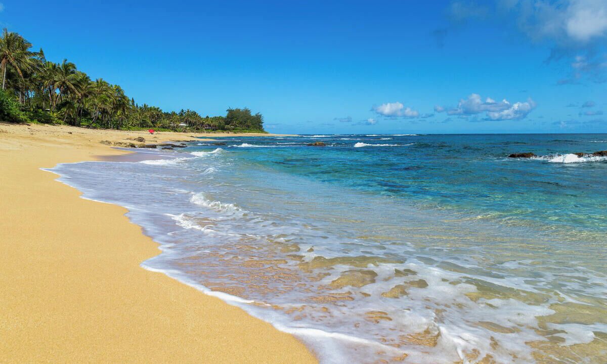 Photo of Others in Wainiha