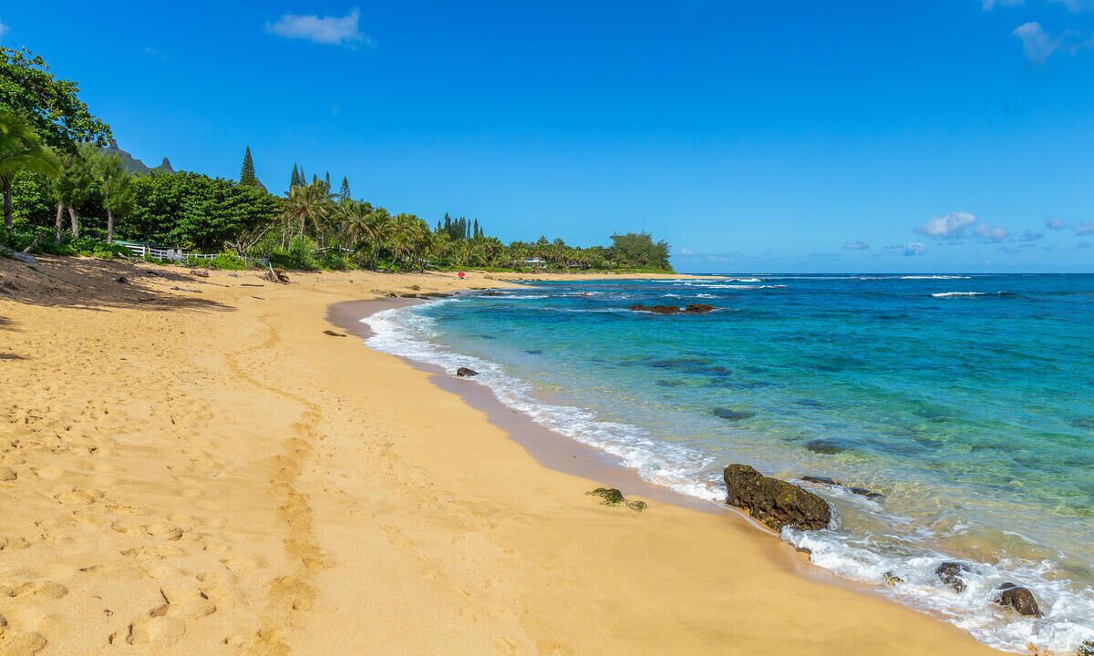 Photo of Others in Wainiha