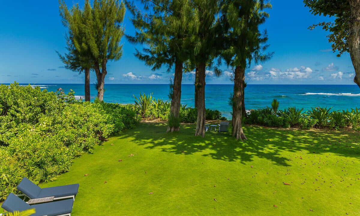 Photo of Outdoor in Wainiha