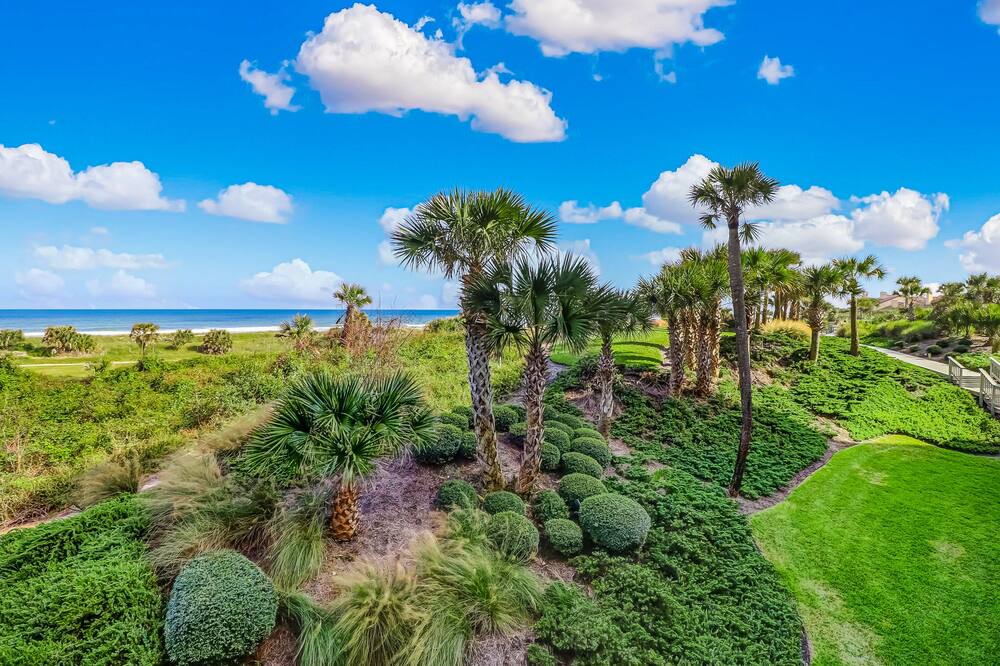 Photo of Others in Fernandina Beach