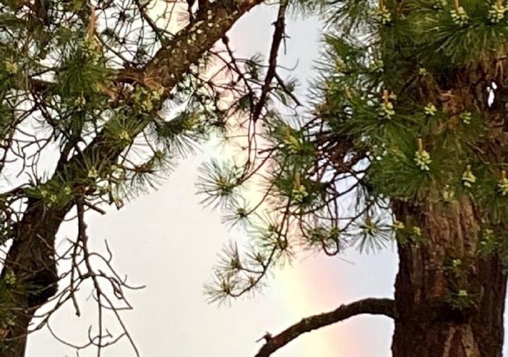 Photo of Outdoor in Chestertown