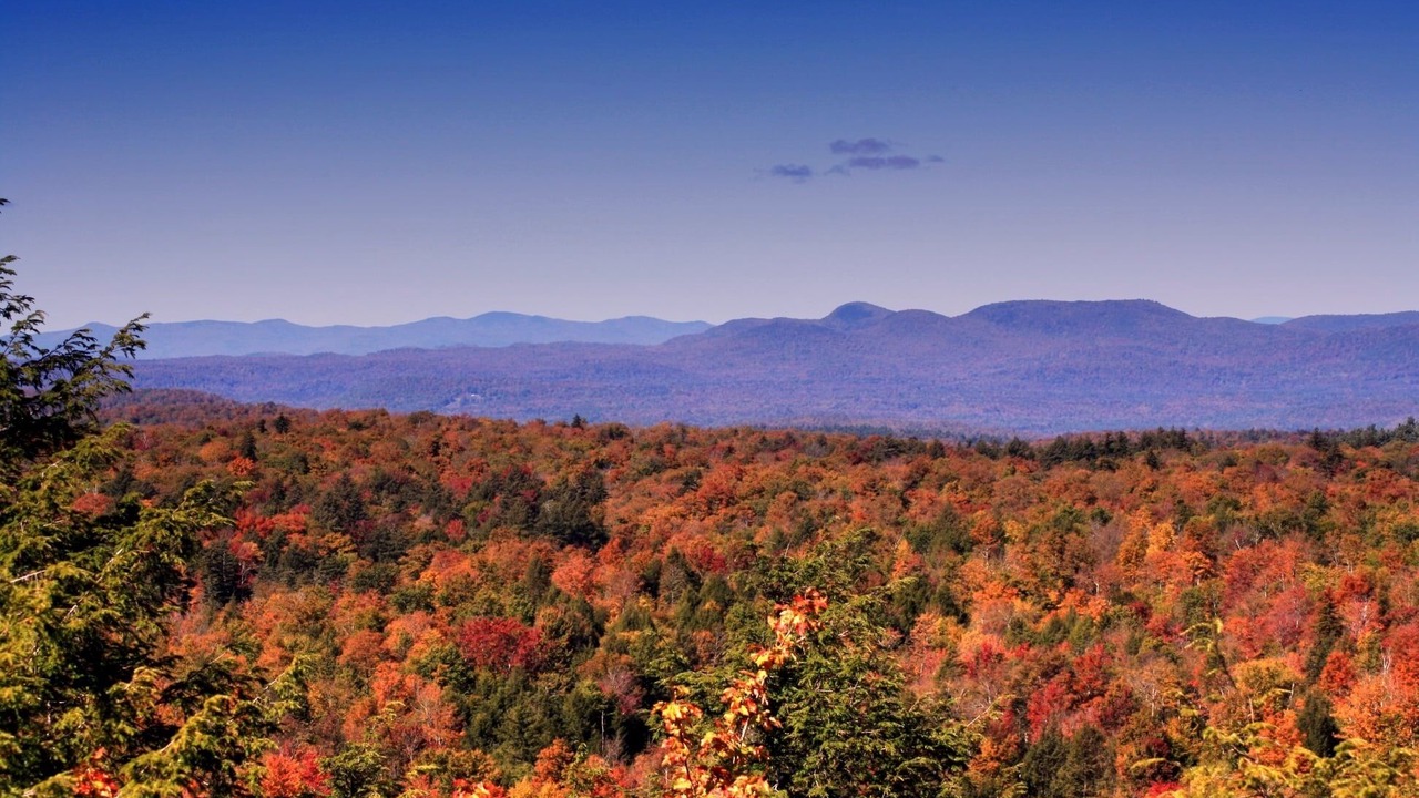 Photo of Outdoor in Chestertown