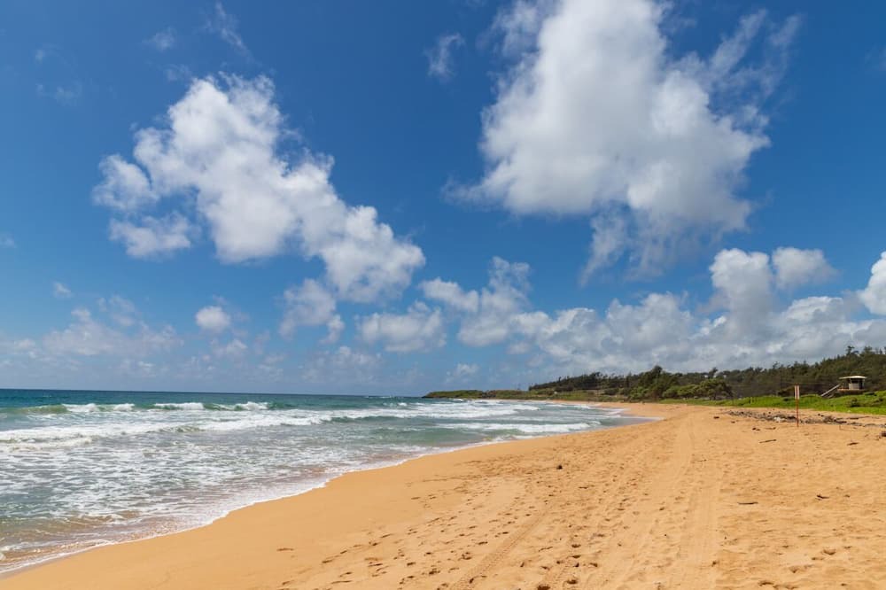 Photo of Others in Wailua