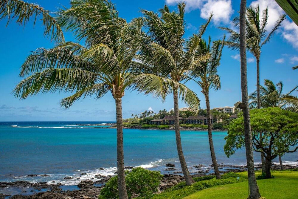 Photo of Others in Napili