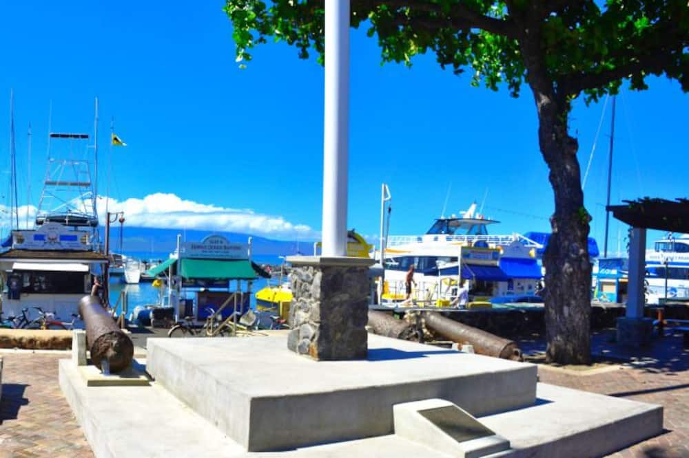 Photo of Outdoor in Napili