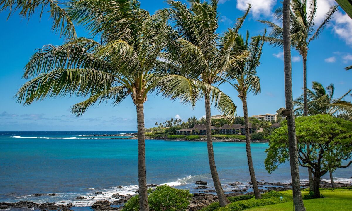 Photo of Others in Napili