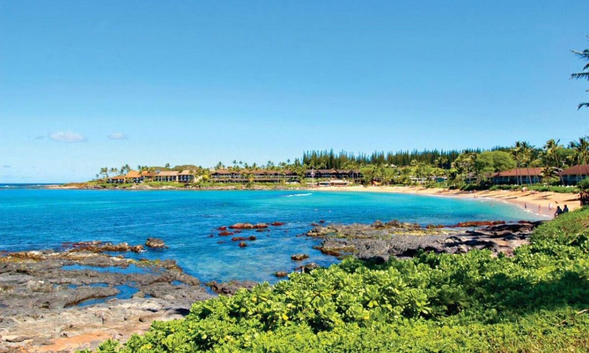 Photo of Others in Napili