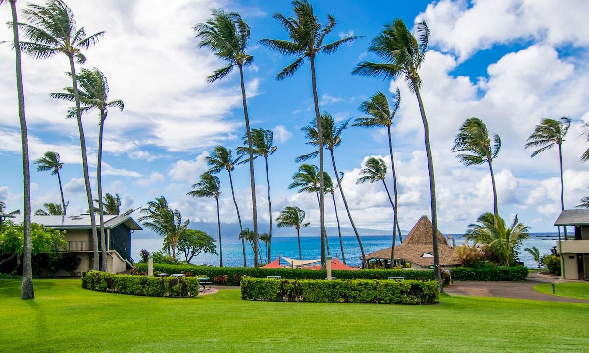 Photo of Outdoor in Napili