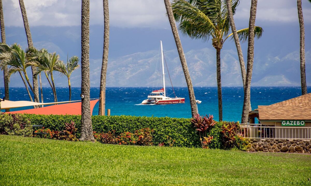 Photo of Outdoor in Napili