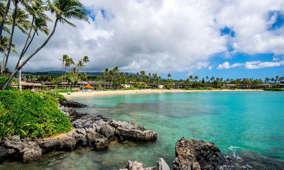 Photo of Others in Napili