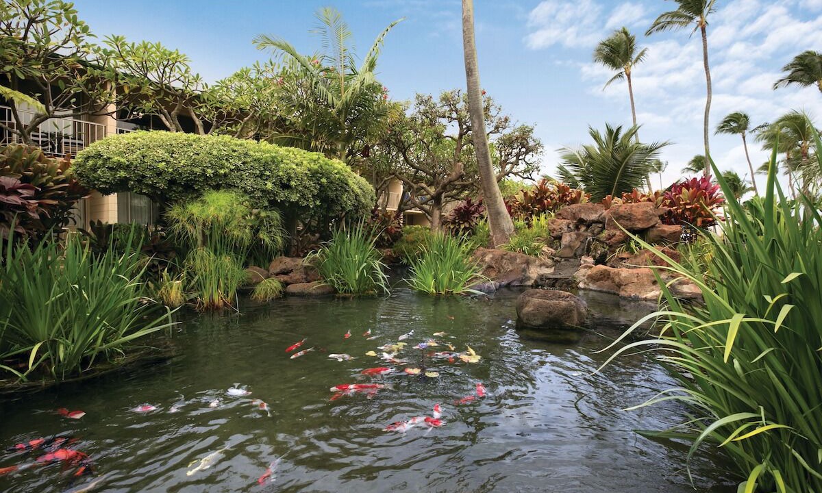 Photo of Outdoor in Napili