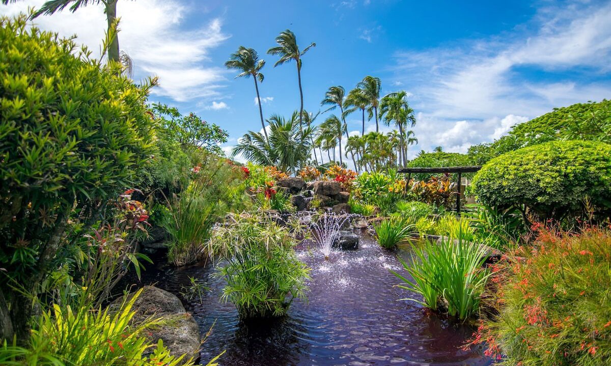 Photo of Outdoor in Napili