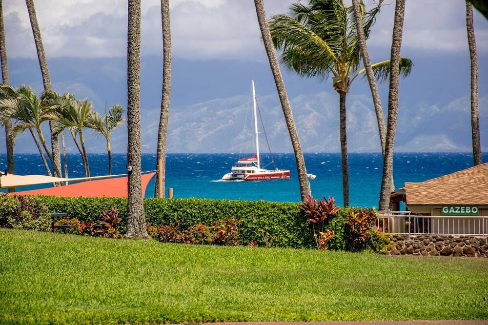 Photo of Others in Napili