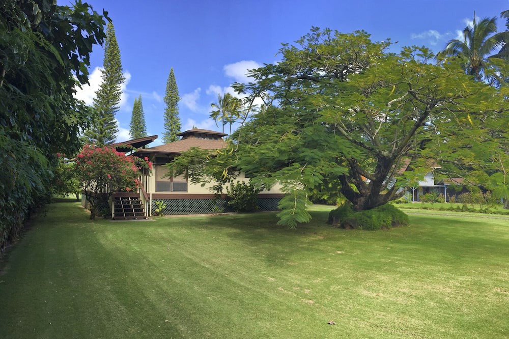 Photo of Outdoor in Wainiha