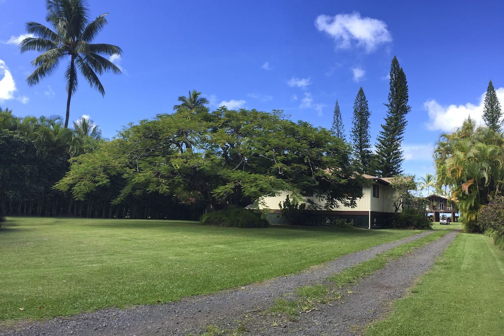 Photo of Outdoor in Wainiha