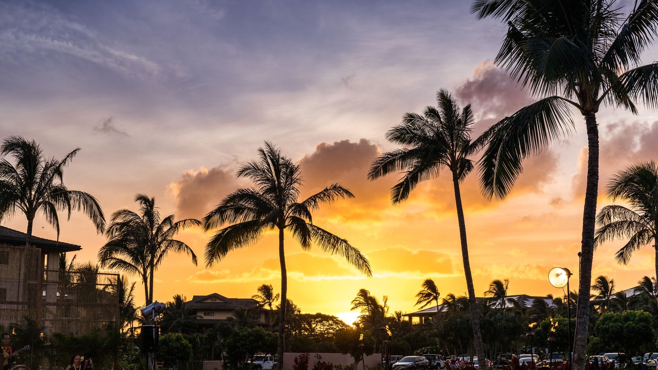 Photo of Outdoor in Poipu