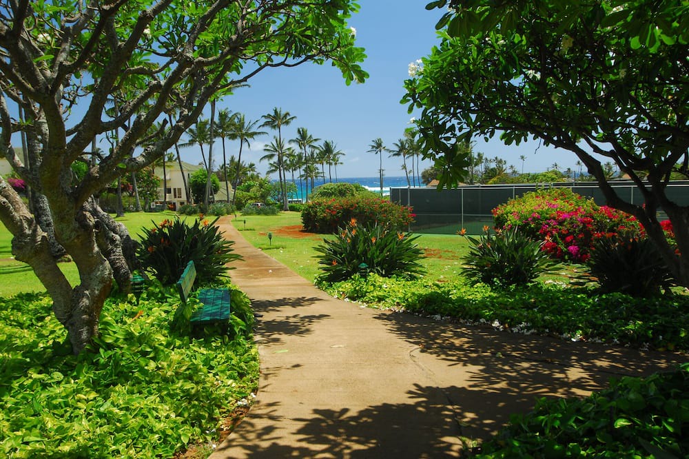 Photo of Outdoor in Bayview