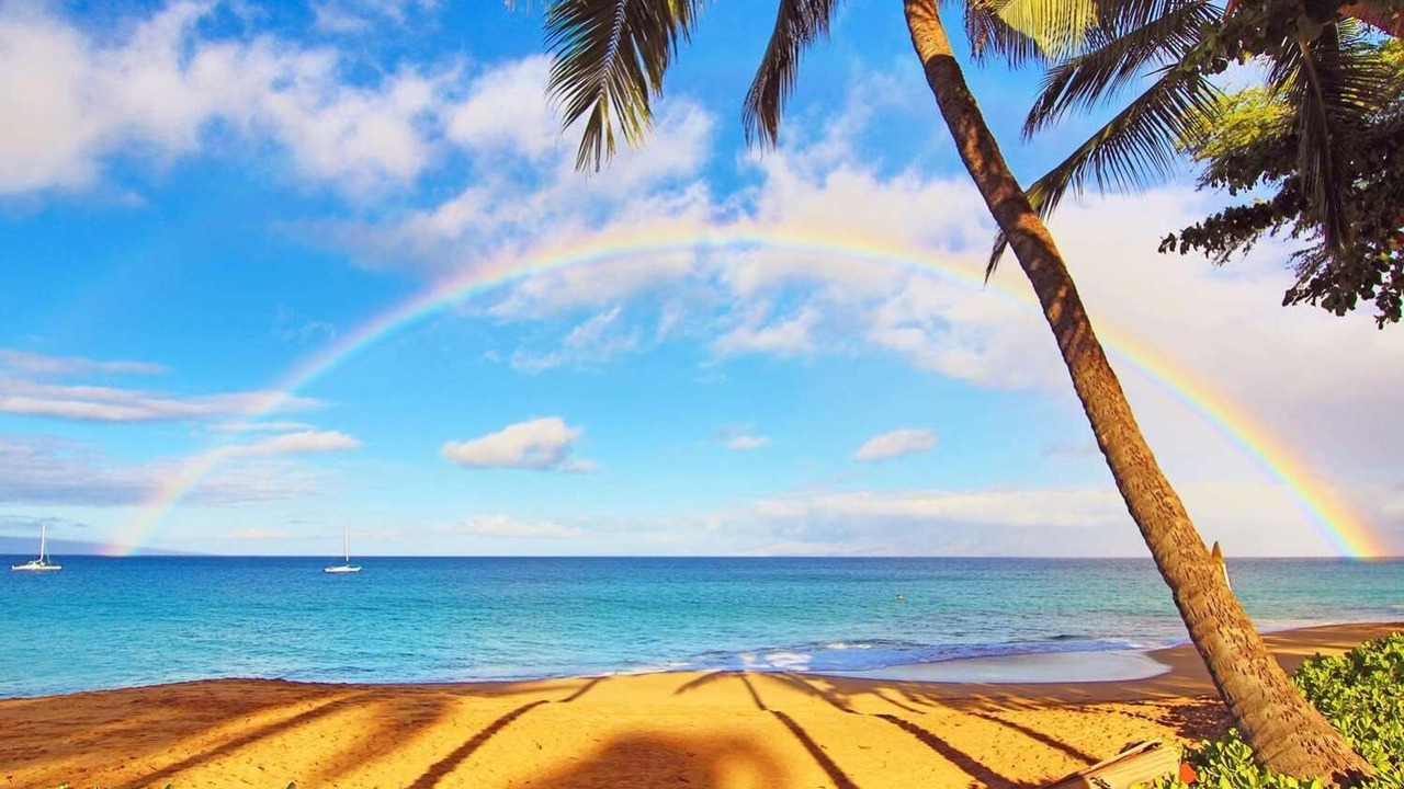 Photo of Others in Kaanapali