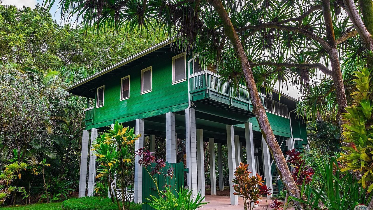 Photo of Outdoor in Wainiha