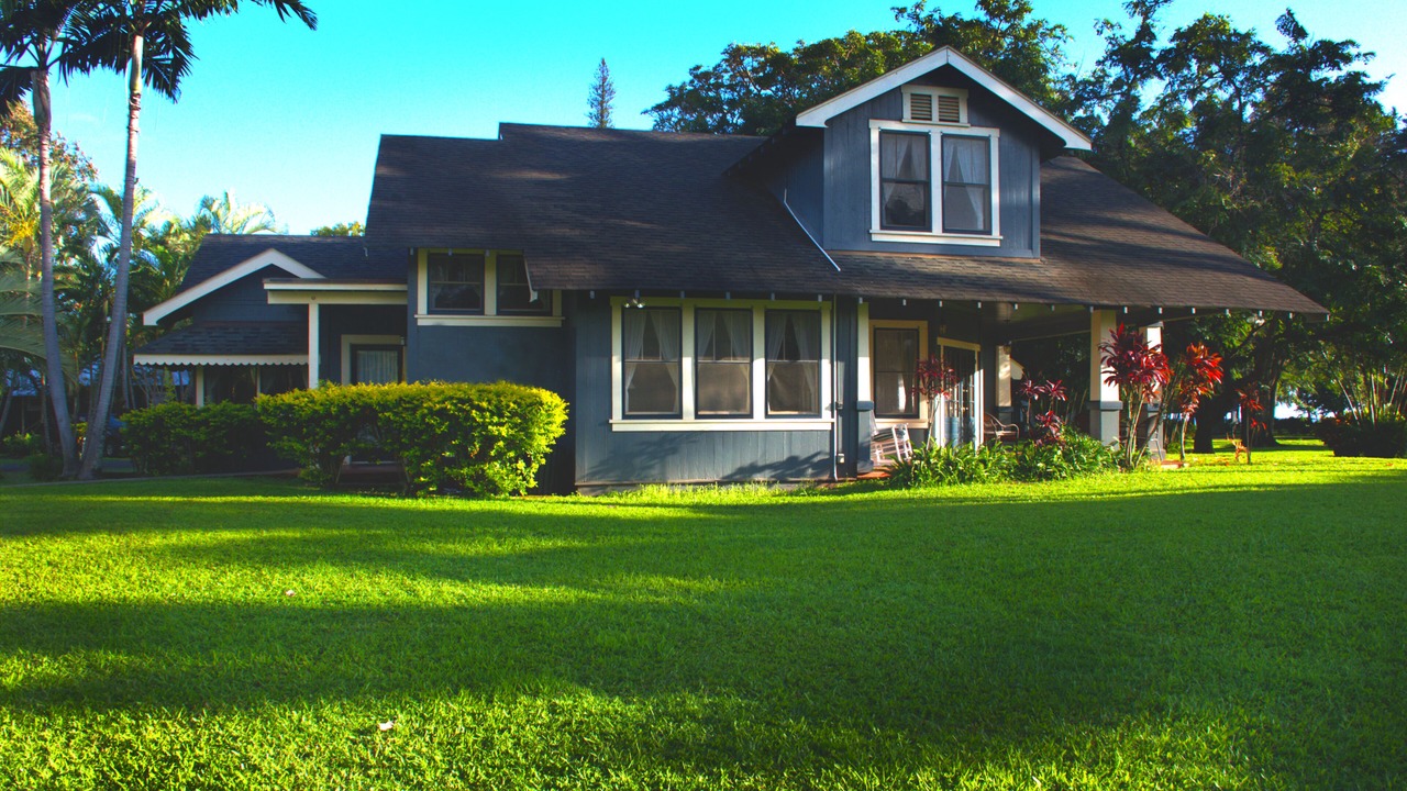 Photo of Outdoor in Waimea