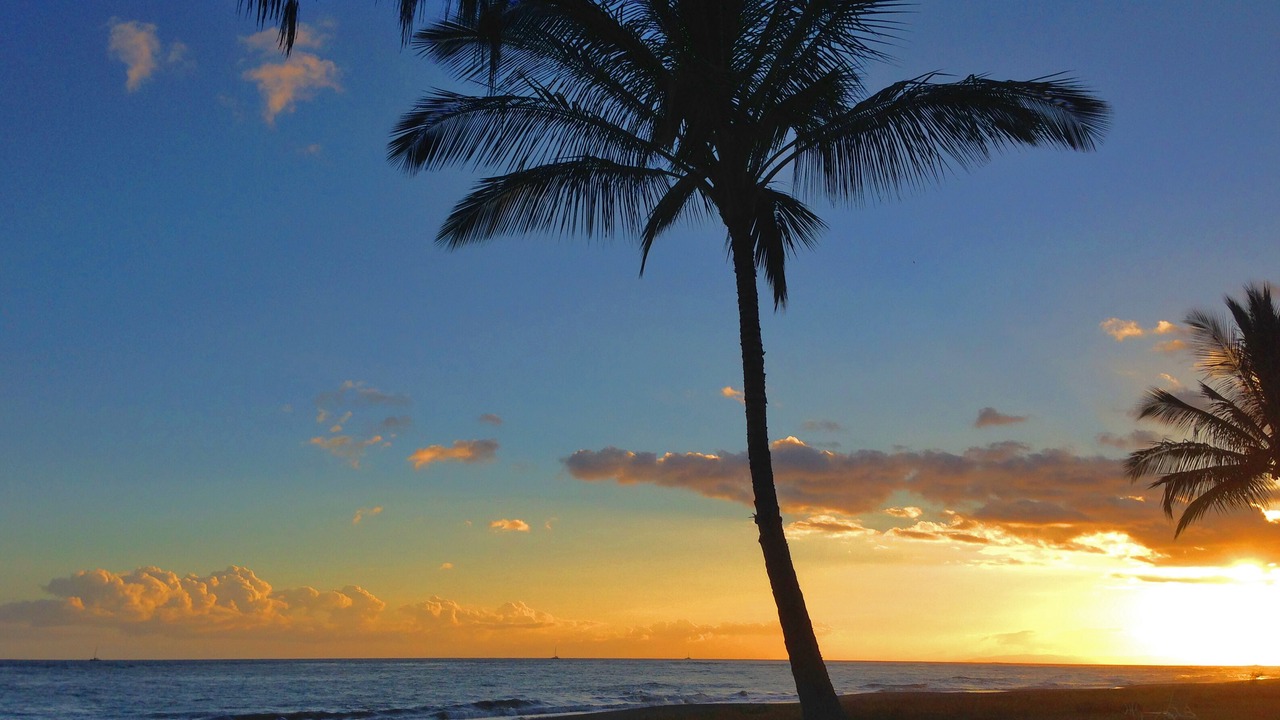 Photo of Others in Waimea
