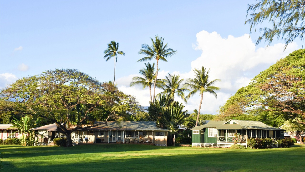 Photo of Outdoor in Waimea
