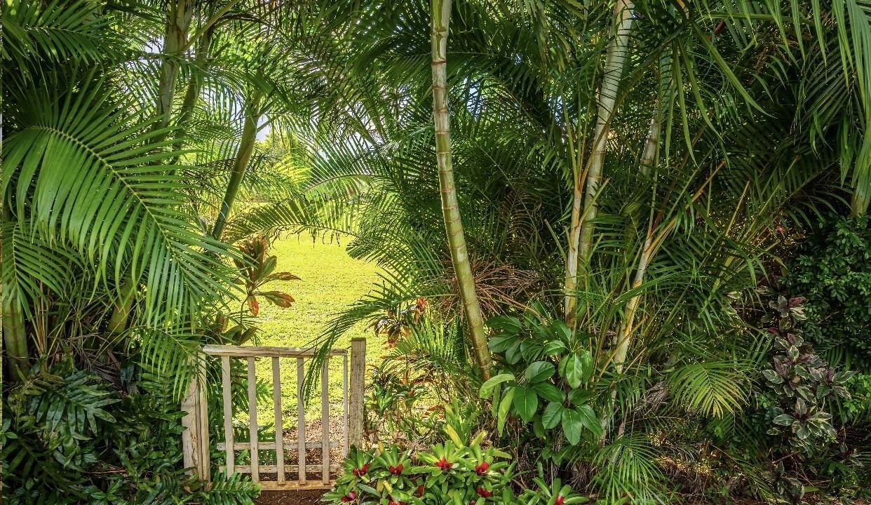 Photo of Outdoor in Princeville