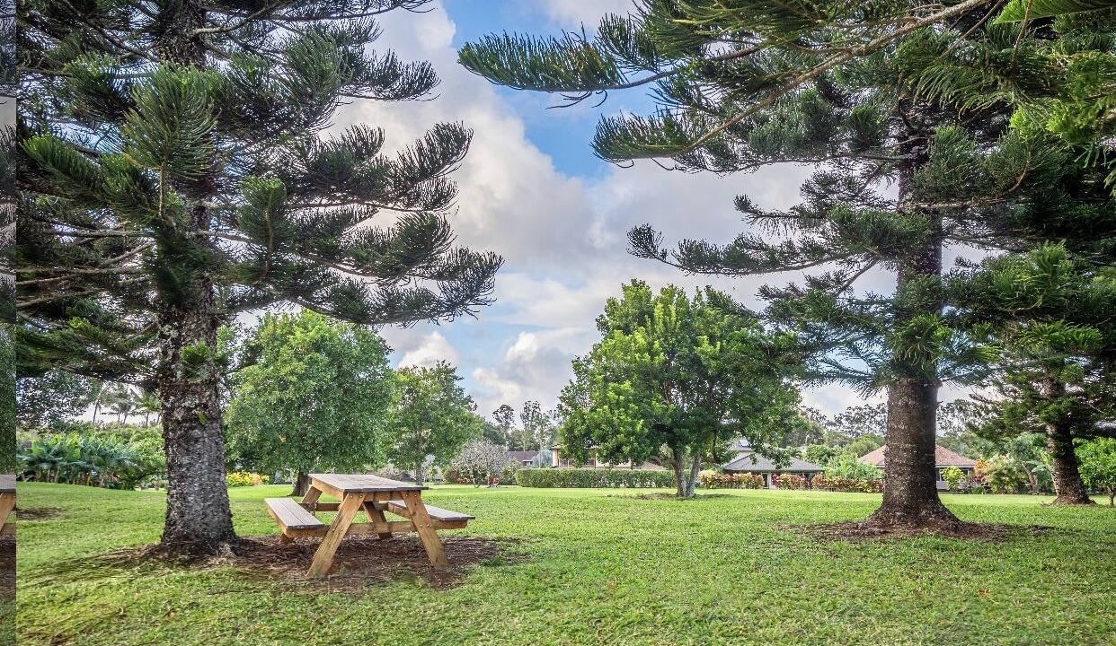 Photo of Outdoor in Princeville
