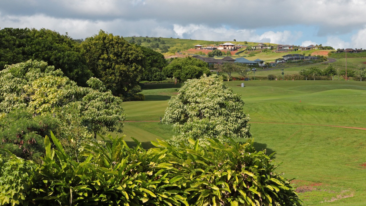 Photo of Others in Poipu
