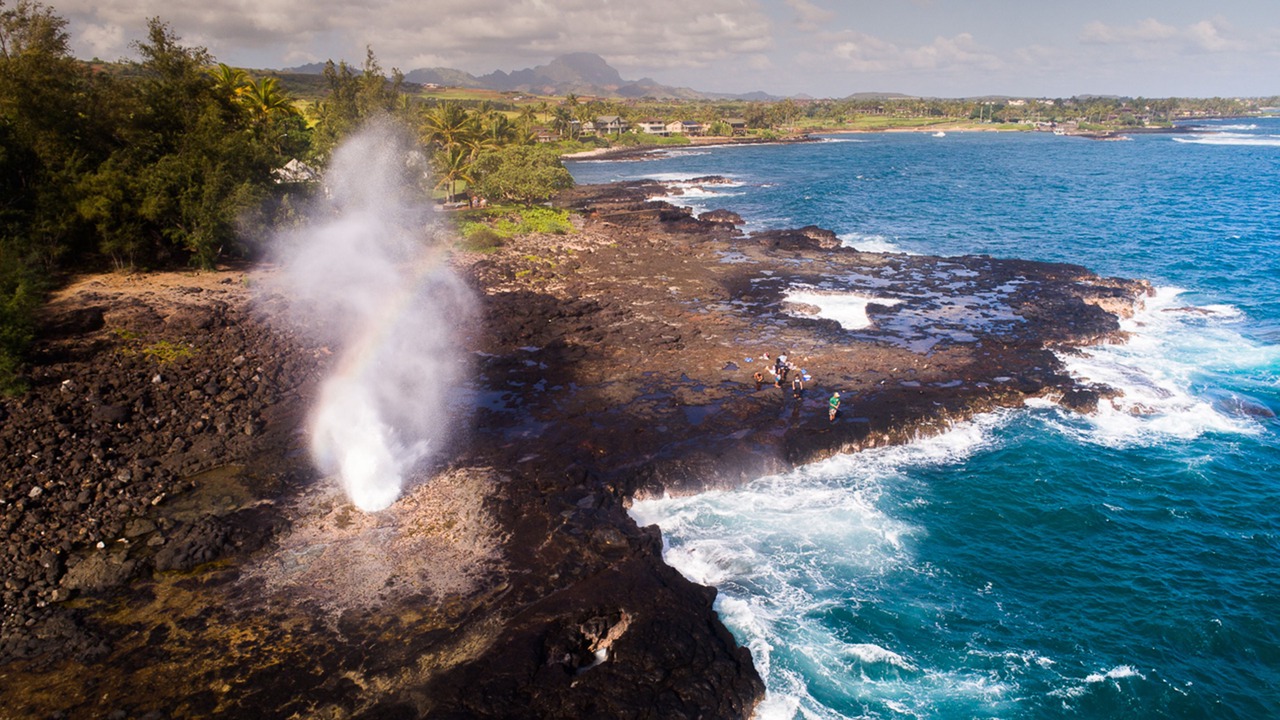 Photo of Others in Poipu