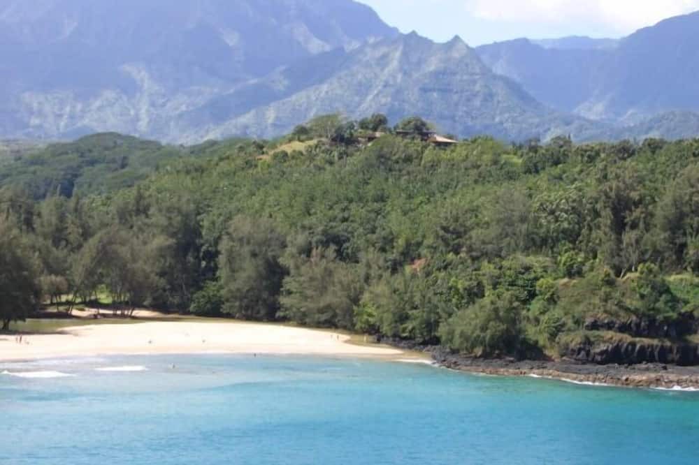 Photo of Others in Kalihiwai