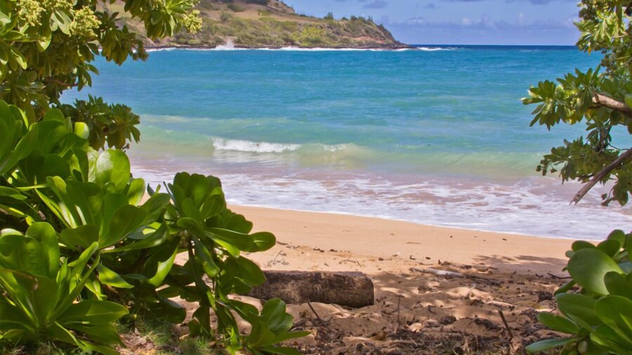 Photo of Others in Anahola