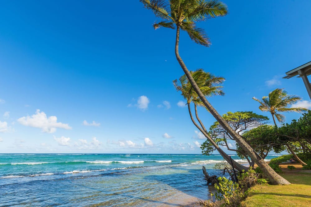 Photo of Others in Kapaa