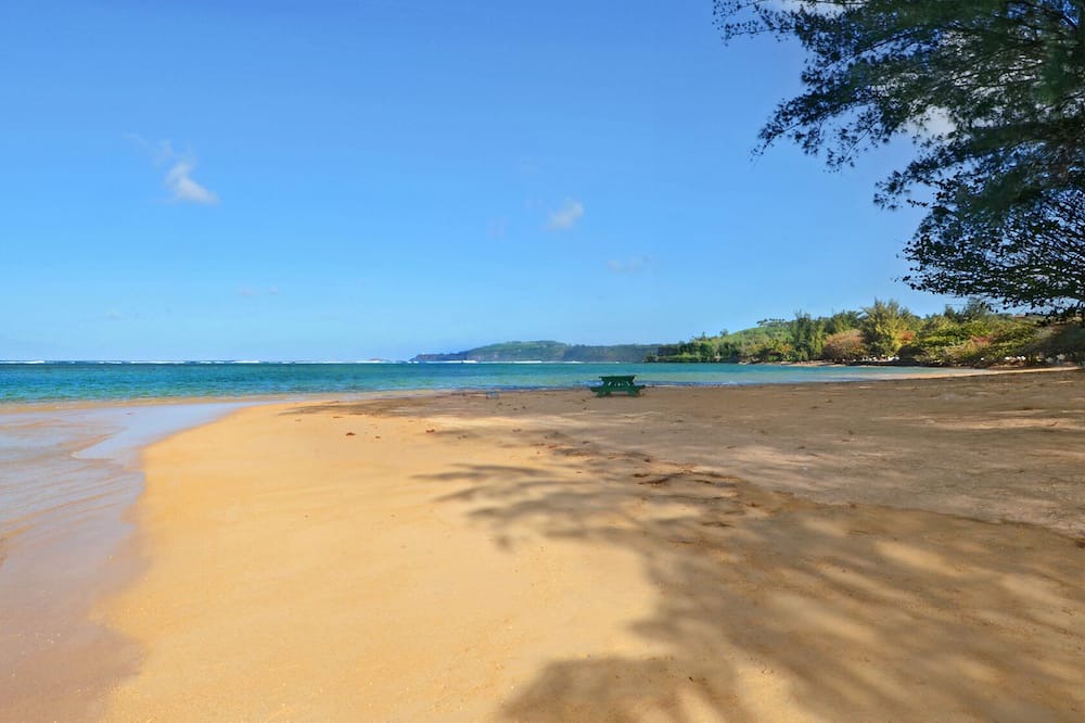 Photo of Others in Kaiulani