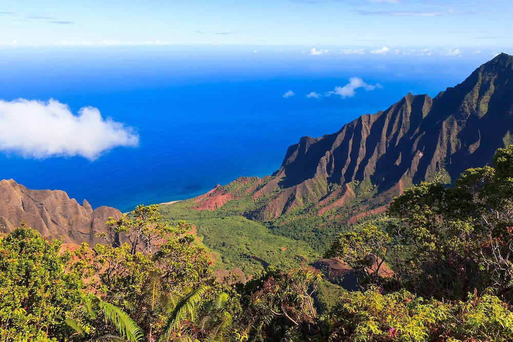 Photo of Others in Kaiulani