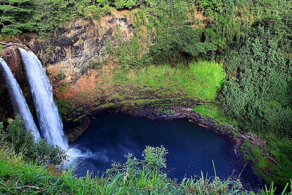 Photo of Others in Kaiulani