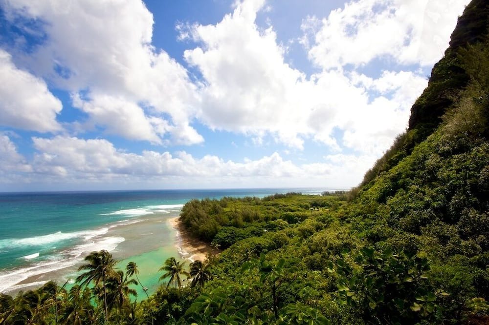 Photo of Others in Hanalei