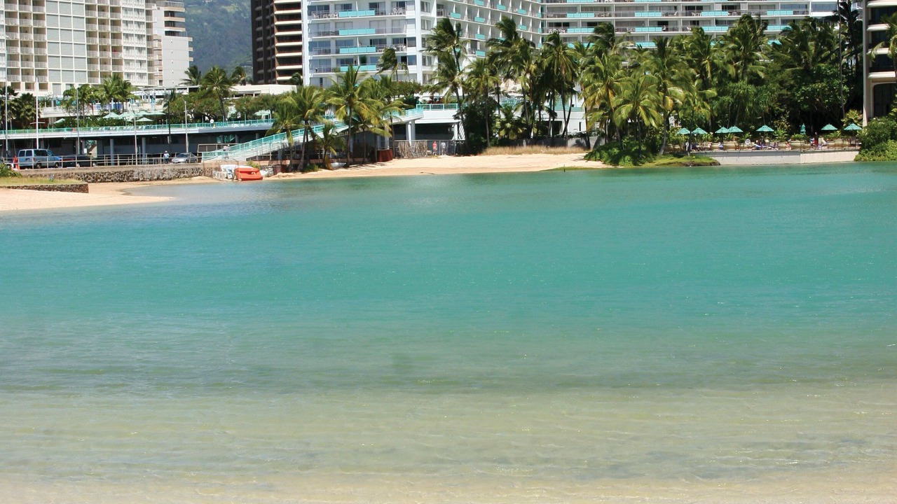 Photo of Others in Waikiki