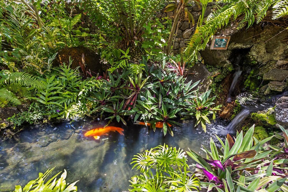 Photo of Outdoor in Poipu