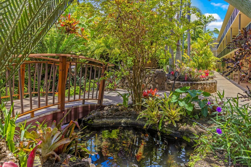 Photo of Outdoor in Poipu